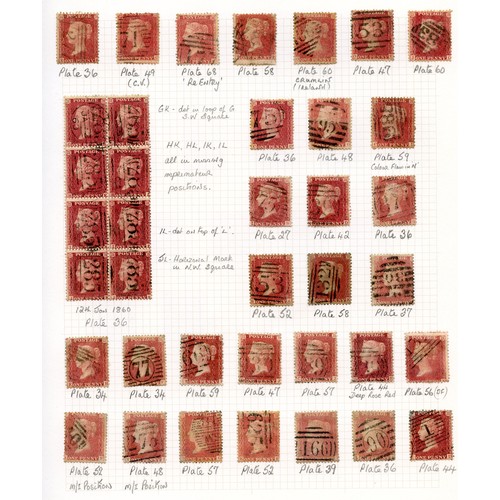 Lot 59        