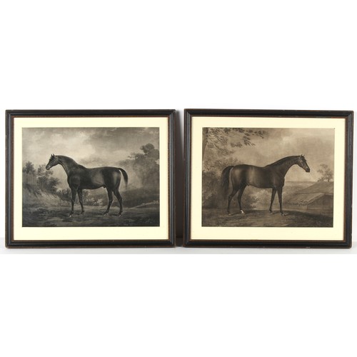 207 - Property of a gentleman - J. Burke after George Stubbs - 'Eclipse, The Property of Denes O'Kelly Esq... 