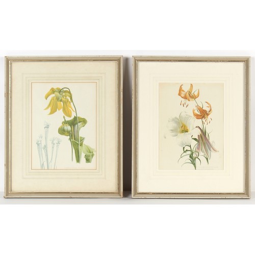 208 - Property of a gentleman - three 19th century fashion prints, in matching glazed gilt frames, each 18... 