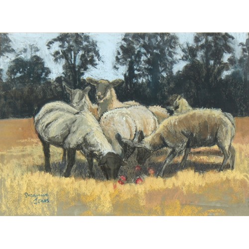 217 - Property of a gentleman - Suzanne Jones (20th century British) - SHEEP GRAZING - pastel, 10.45 by 14... 