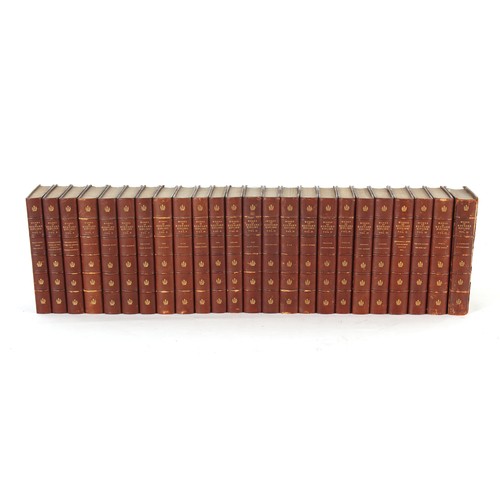 Lot 45        