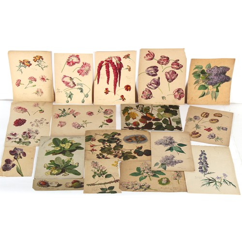 38 - Property of a deceased estate - English school, 19th century - a collection of thirty-seven unframed... 