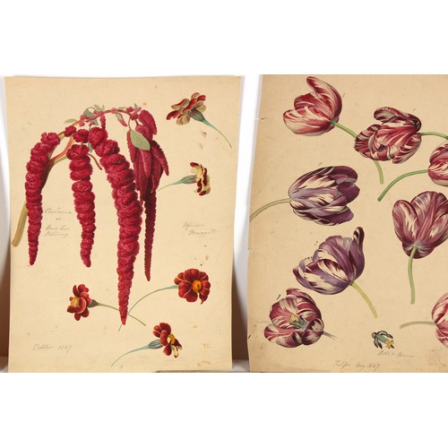 38 - Property of a deceased estate - English school, 19th century - a collection of thirty-seven unframed... 