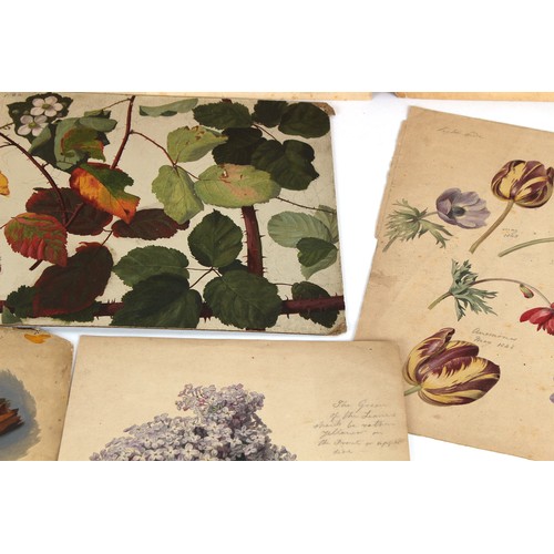 38 - Property of a deceased estate - English school, 19th century - a collection of thirty-seven unframed... 