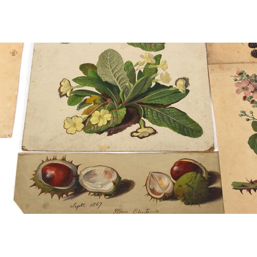 38 - Property of a deceased estate - English school, 19th century - a collection of thirty-seven unframed... 