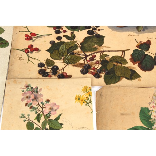 38 - Property of a deceased estate - English school, 19th century - a collection of thirty-seven unframed... 