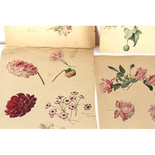 38 - Property of a deceased estate - English school, 19th century - a collection of thirty-seven unframed... 