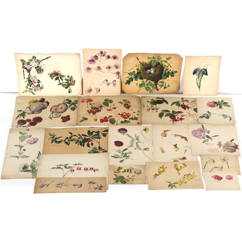 38 - Property of a deceased estate - English school, 19th century - a collection of thirty-seven unframed... 