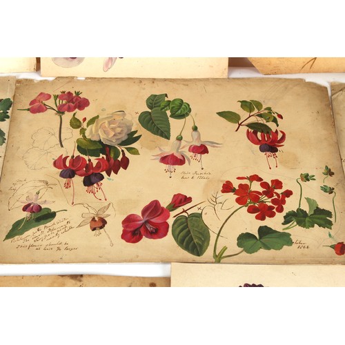 38 - Property of a deceased estate - English school, 19th century - a collection of thirty-seven unframed... 