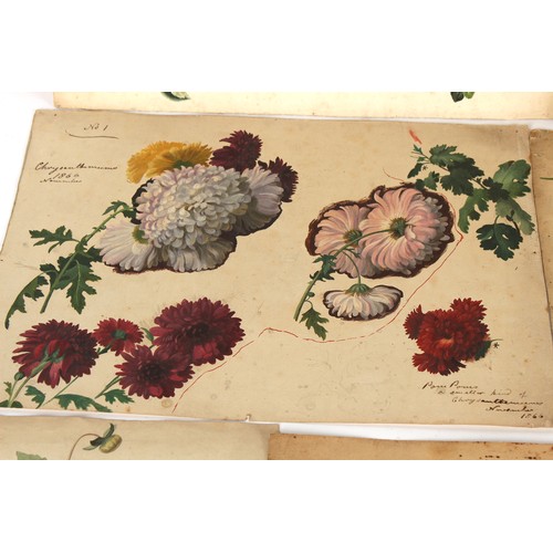 38 - Property of a deceased estate - English school, 19th century - a collection of thirty-seven unframed... 