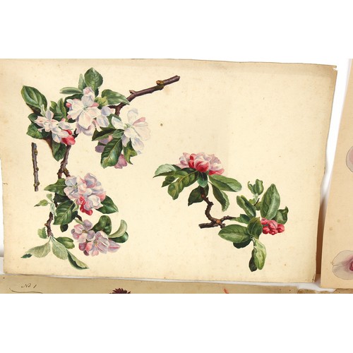 38 - Property of a deceased estate - English school, 19th century - a collection of thirty-seven unframed... 