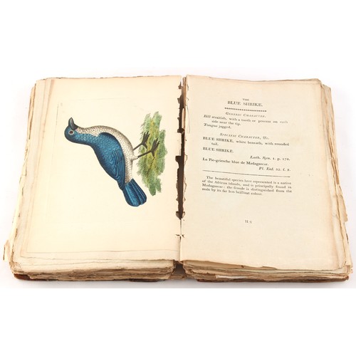 10 - Property of a deceased estate - SHAW, George and NODDER, Frederick P. - 'The Naturalist's Miscellany... 