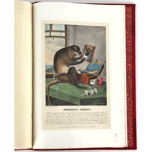 14 - Property of a lady - Napoleonic historical interest - CHAPLIN, Arnold and YOUNG, Norwood - 'Napoleon... 