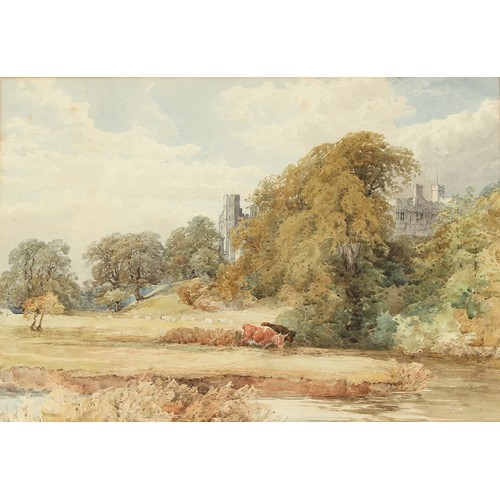 Lot 40        