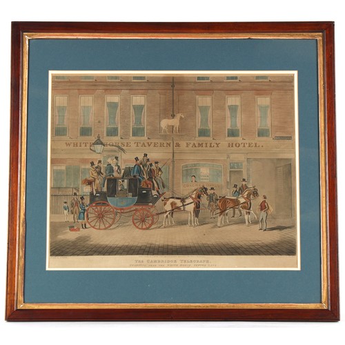 Lot 27        