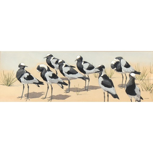 Lot 20        