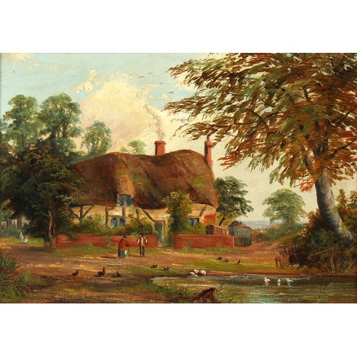Lot 43        