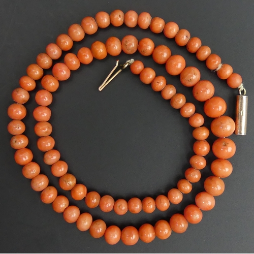 15 - Victorian graduated coral bead 40 cm long necklace with a 9 carat gold clasp. Largest bead 7.5mm. UK... 