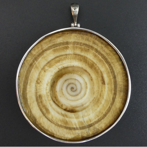 128 - A large spiral shell silver mounted pendant. 62 mm in diameter. 33.8 grams. UK Postage £12.