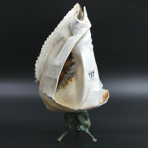 197 - A large carved conch shell cameo, table lamp and stand. 32 cm high. UK Postage £20.