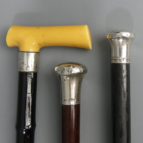 300 - Three old walking sticks, two with silver tops, one with a faux ivory handle and silver collar. Long... 