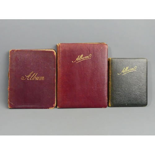 295a - Three Victorian beautifully illustrated autograph albums, dating from circa 1897/8. UK Postage £14.