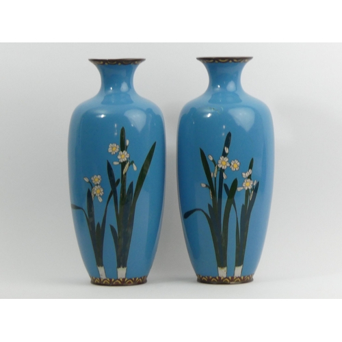 291 - A pair of blue ground floral Japanese Meiji period cloisonné enamel vases. 30 cm. UK Postage £18.