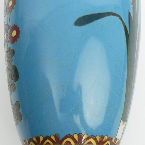 291 - A pair of blue ground floral Japanese Meiji period cloisonné enamel vases. 30 cm. UK Postage £18.