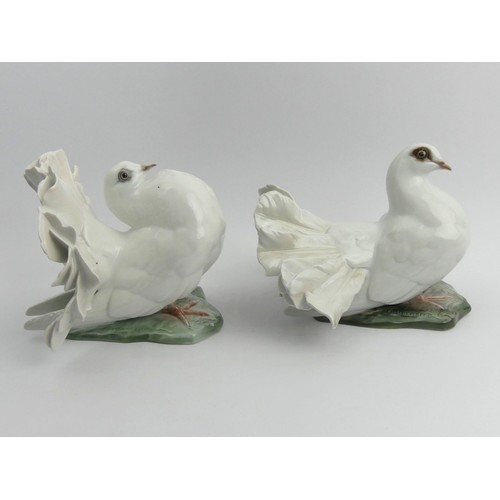 343 - A pair of Rosenthal porcelain fan tailed doves numbers 1589 & 1590 F Heidenreich. 14 cm high. UK Pos... 