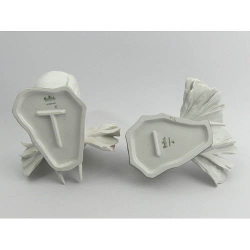 343 - A pair of Rosenthal porcelain fan tailed doves numbers 1589 & 1590 F Heidenreich. 14 cm high. UK Pos... 