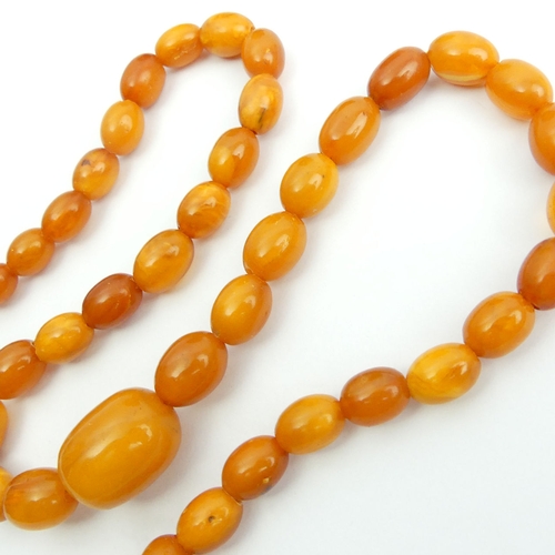 1 - Butterscotch amber bead 57cm long necklace with a 9ct gold clasp, 35 grams. Largest bead 24mm long. ... 