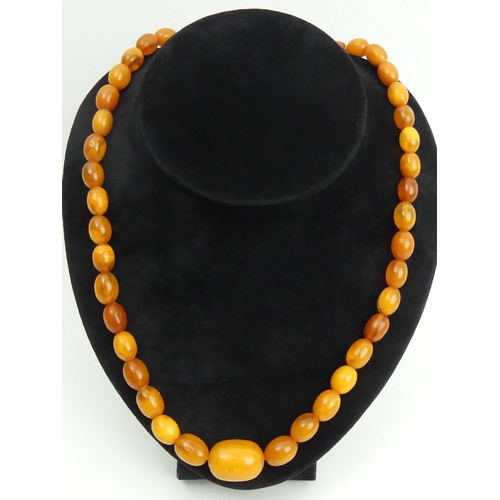 1 - Butterscotch amber bead 57cm long necklace with a 9ct gold clasp, 35 grams. Largest bead 24mm long. ... 