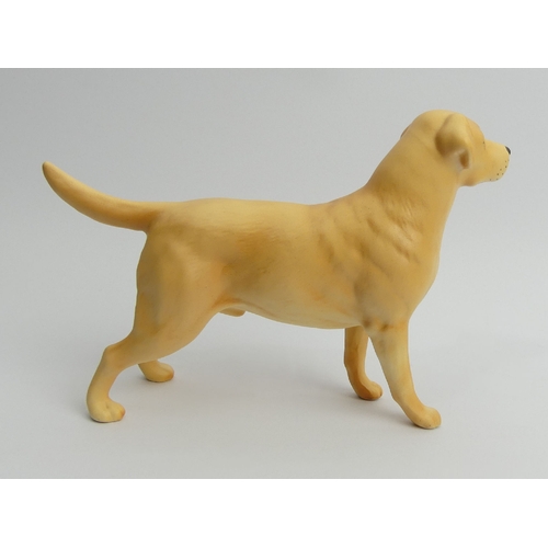 250 - Beswick pottery large Labrador figure, 21 x 14cm. UK Postage £12.