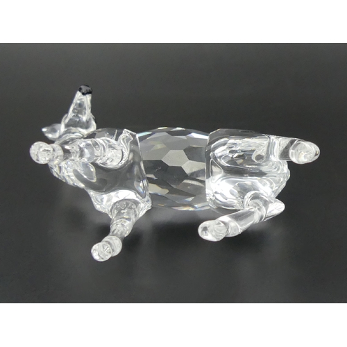 254 - Swarovski crystal large Doe, Rare Encounters, in original box, 9cm high. UK Postage £12.