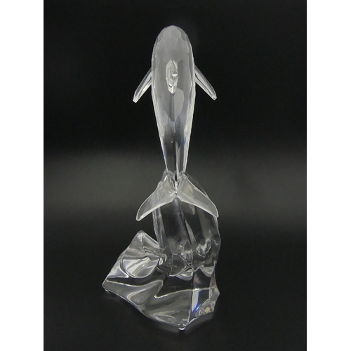 256 - Swarovski crystal Giant Maxi Dolphin 221628, in original box, 204mm. UK Postage £20.