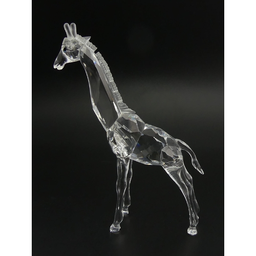 260 - Swarovski crystal Baby Giraffe 236717 boxed figure, 13.8cm. UK Postage £12.