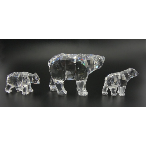 279 - Swarovski Mother Polar Bear Rare Encounters figure with box and certificate and two Polar Bear Cubs,... 