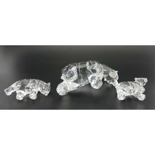 279 - Swarovski Mother Polar Bear Rare Encounters figure with box and certificate and two Polar Bear Cubs,... 