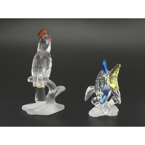 281 - Swarovski crystal Toucan and a SCS Wonders of the Sea Fish, both with original boxes, 8cm. UK Postag... 