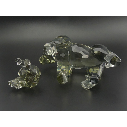 283 - SCS Swarovski Endangered Wildlife Gorillas Mother and Cub figure, with box and certificate, largest ... 