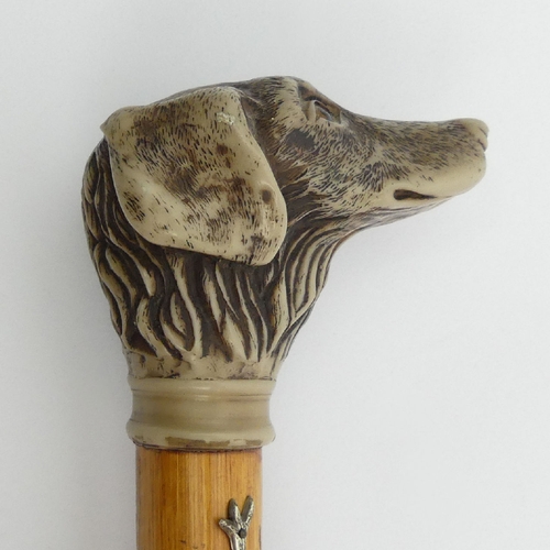 175 - A Dogs head walking stick with Scottish badges, 93cm. UK Postage £15.