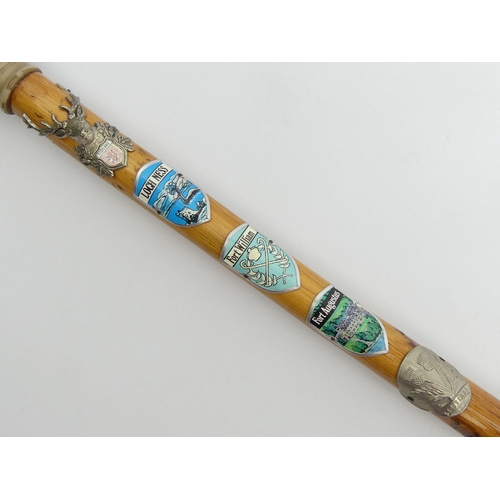 175 - A Dogs head walking stick with Scottish badges, 93cm. UK Postage £15.