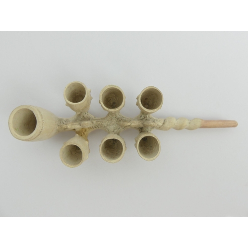 411 - Rare C.19th century unsmoked 7 bowled clay pipe, Polocks Manchester,
13cm. UK Postage £12