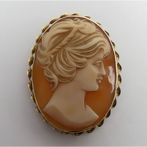 46 - 9ct gold, carved shell cameo brooch, 9.4 grams, 25mm x 45mm.