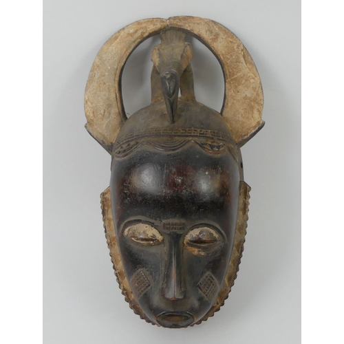 445 - A carved African Baule tribal mask for the Côte d'Ivoire. 29 x 16 cm.