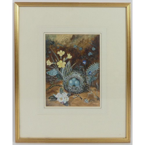 446 - A Bell watercolour of a bird nest amongst flowers, signed lower right, framed and glazed, 44cm x 37c... 