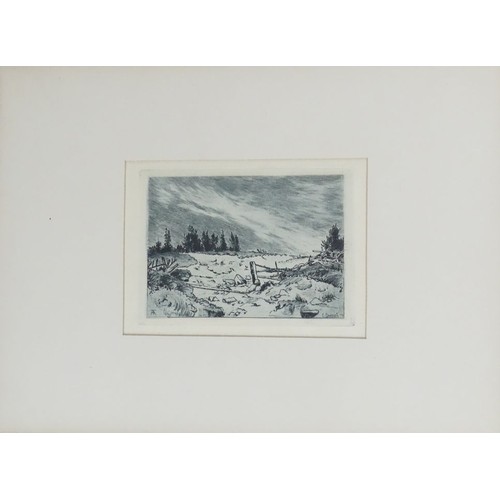 450 - A folio of twenty-six etchings by E. Cosomati. 33cm x 26cm.