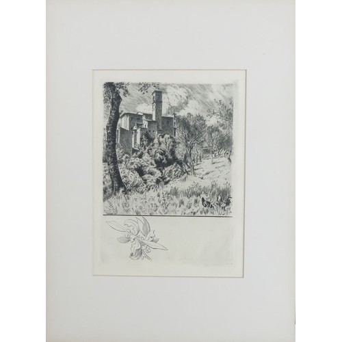 450 - A folio of twenty-six etchings by E. Cosomati. 33cm x 26cm.