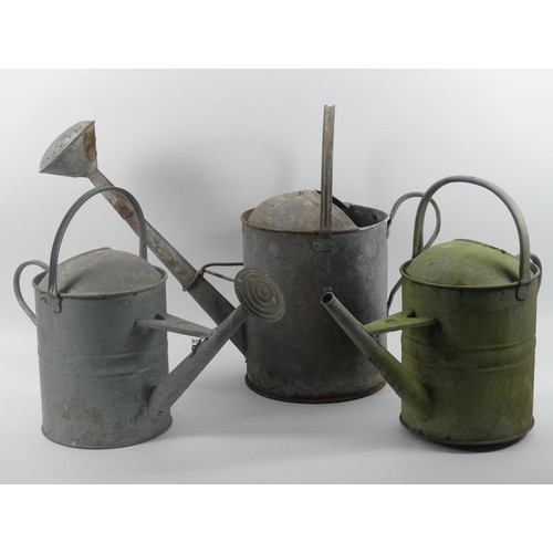 495 - Three old galvanised watering cans, largest 3.5 gallons.
Collection own Courier Only.