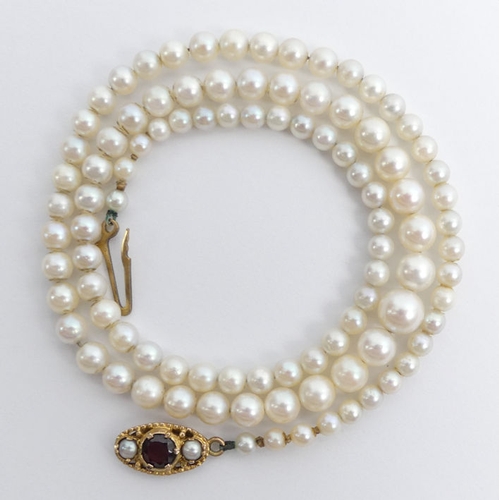 40B - A graduated cultured pearl necklace with a 9ct gold clasp, set with a garnet, 15 grams, 45 cm, large... 